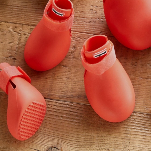 🌿Dog shoes🌿 - Picture 3 of 3